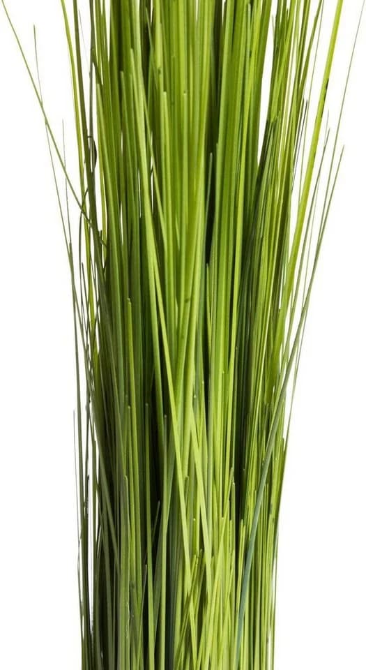 BOTANIC-HAUS Grasarrangement Selbststehend Grün 60cm