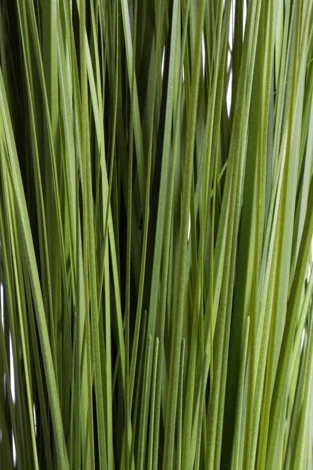 Botanic-Haus Kunstgras Grasarrangement Grün Selbststehend - Bild 3