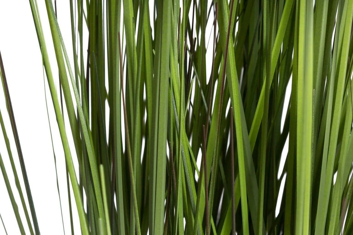 Botanic-Haus Kunstgras Festuca Gras 86 cm Grün