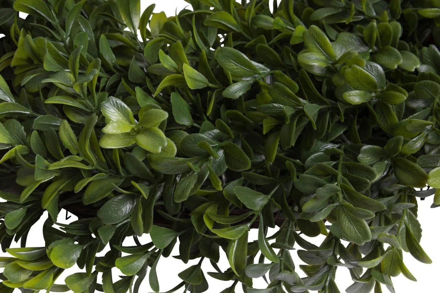 Kunstkranz Buchs, Botanic-Haus, Höhe 9 cm - Bild 3