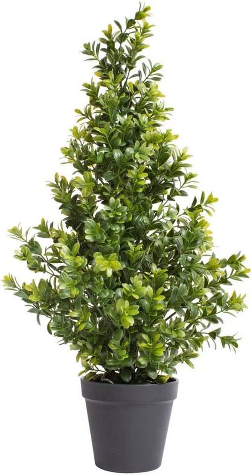 Botanic-Haus Künstliche Zimmerpflanze Buchsbaum im Topf Grün - Bild 2
