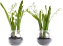 Kunstblume Maiglöckchen im Glas, Botanic-Haus Bild 2
