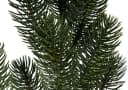 BOTANIC-HAUS Tannenzweig Nisse groß Grün Kunststoff Bild 3