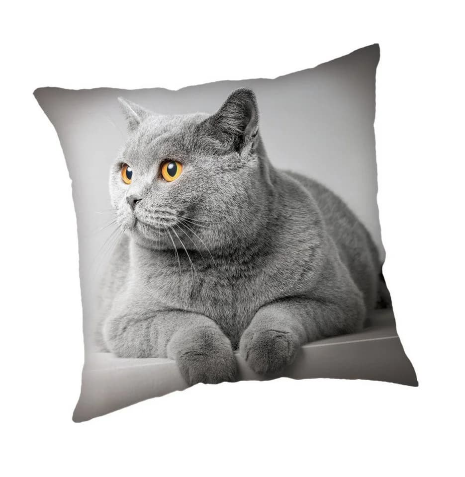 Jerry Fabrics Kissenbezug Katze 45 x 45 cm