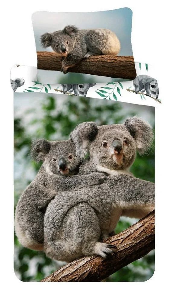 Sweet Home Kinderbettwäsche Koala 2-teilig - Bild 2