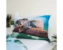 Sweet Home Kinderbettwäsche Koala 2-teilig Bild 4