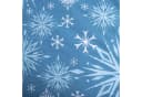 Disney Frozen Bettwäsche Anna Elsa Kissen Bettdecke Wendemotiv Bild 5