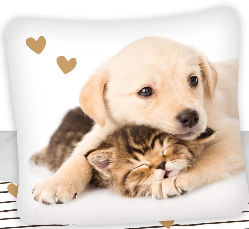 Jerry Fabrics Bettwäsche Golden Retriever Hund & Katze Wende-Bettwäsche-Set 135x200 80x80 Baumwolle