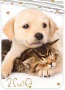 Jerry Fabrics Bettwäsche Golden Retriever Hund & Katze Wende-Bettwäsche-Set 135x200 80x80 Baumwolle Bild 3