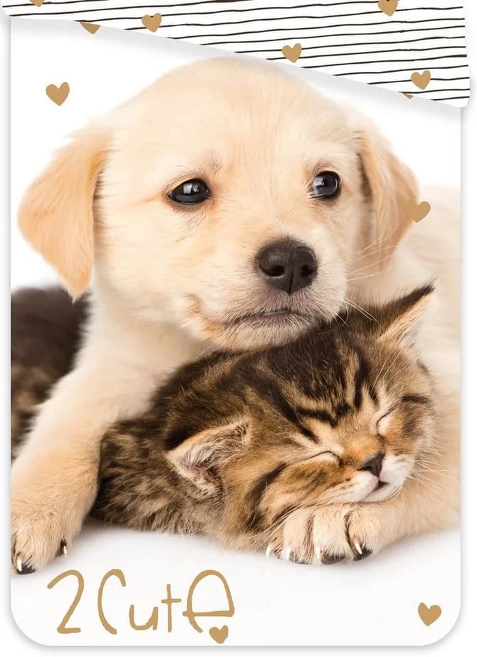 Jerry Fabrics Bettwäsche Golden Retriever Hund & Katze Wende-Bettwäsche-Set 135x200 80x80 Baumwolle - Bild 3