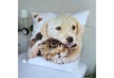 Jerry Fabrics Bettwäsche Golden Retriever Hund & Katze Wende-Bettwäsche-Set 135x200 80x80 Baumwolle Bild 5