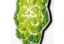 Wallity Wanddekoobjekt 100% MDF MOSS Grün/Weiss Bild 1