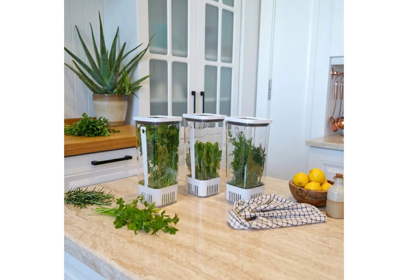 Vip Ahmet Frischhaltedosen 3-tlg. 1,7L BPA-frei Kunststoff transparent - Bild 4