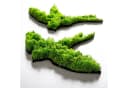 Wallity Wanddekoobjekt 100% MDF MOSS Grün Handgefertigt Bild 4