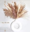 FOUORTUNATE-BEE Trockenblumen 128 Stück Pampasgras Beige Boho Bild 4