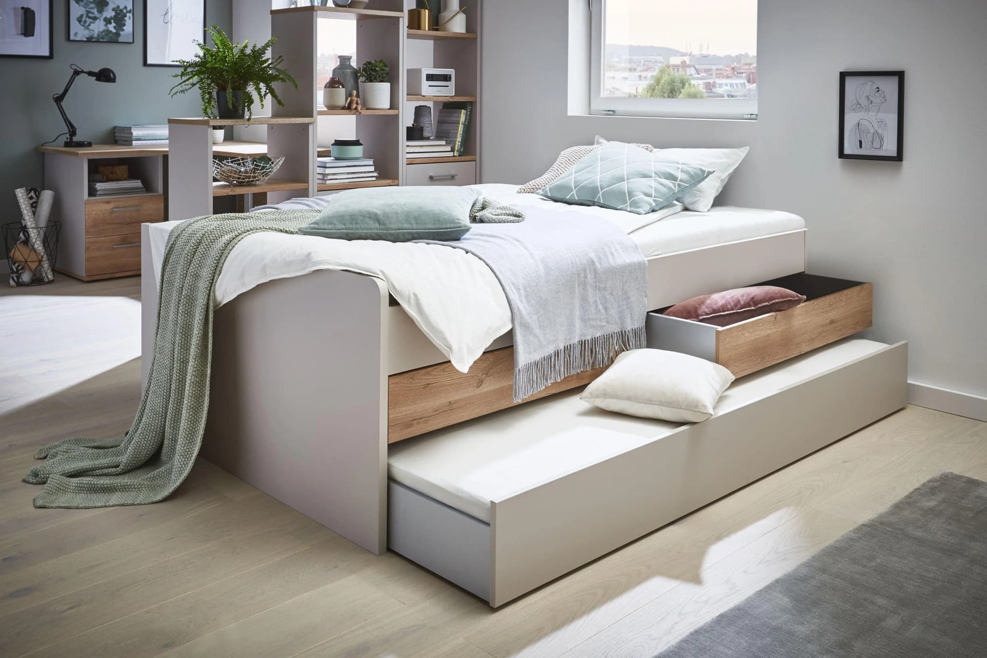 Priess Jugendbett New York Sandgrau/Risseiche mit Schubladen