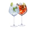 Alpina Gin Tonic Gläser Set 4 Stück 730ml Glas Bild 2