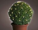 Lumineo Buchsbaumhecken-Netzbeleuchtung 80 LED Warmweiß Bild 1