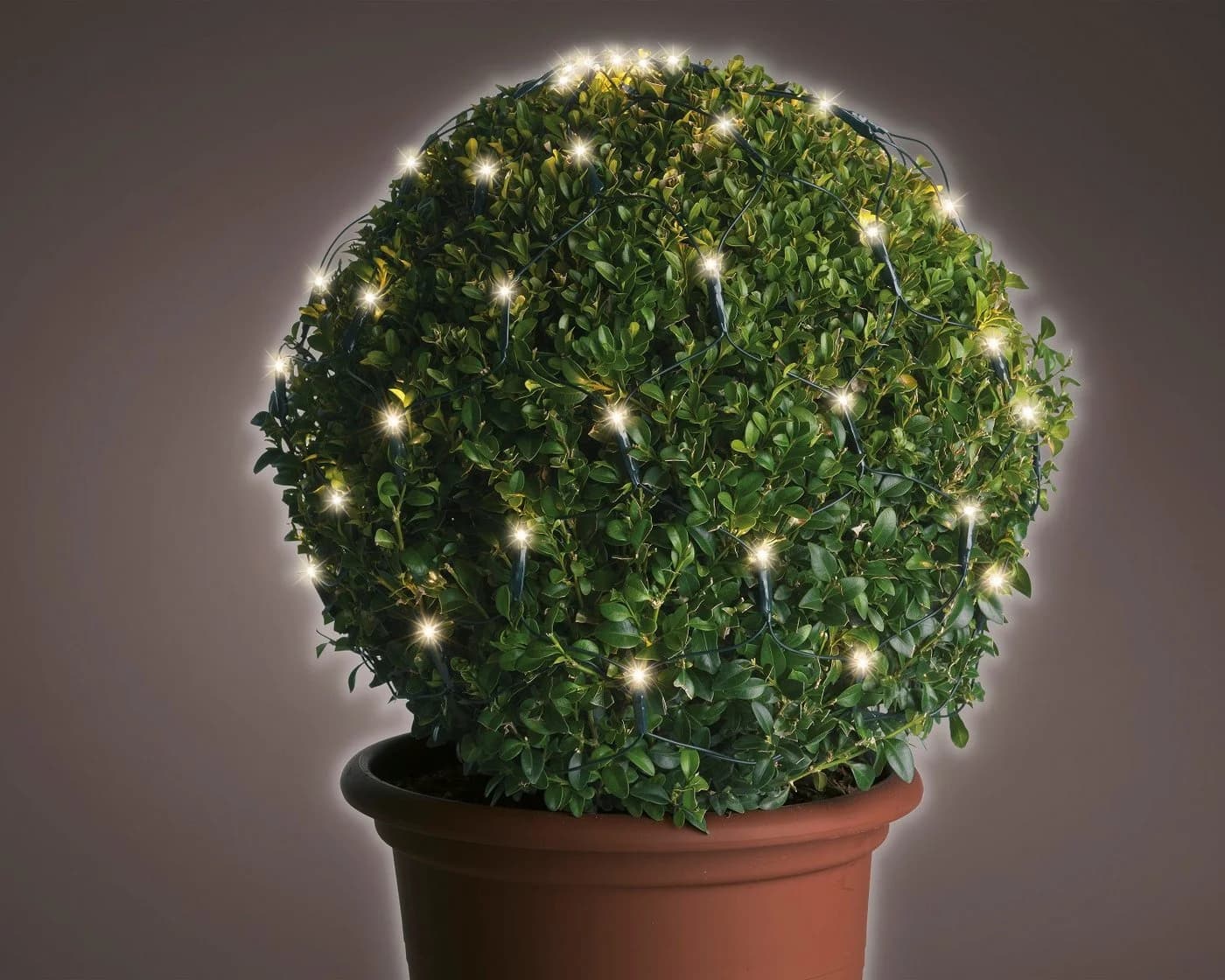 Lumineo Buchsbaumhecken-Netzbeleuchtung 80 LED Warmweiß