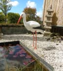 Ubbink Teichfigur Storch Natur Kunststoff Bild 2