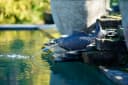 Ubbink Wasserspeier Fisch XL Polyresin Bild 1