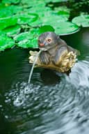 Ubbink Wasserspeier Otter Schwimmend Polyresin Bild 2