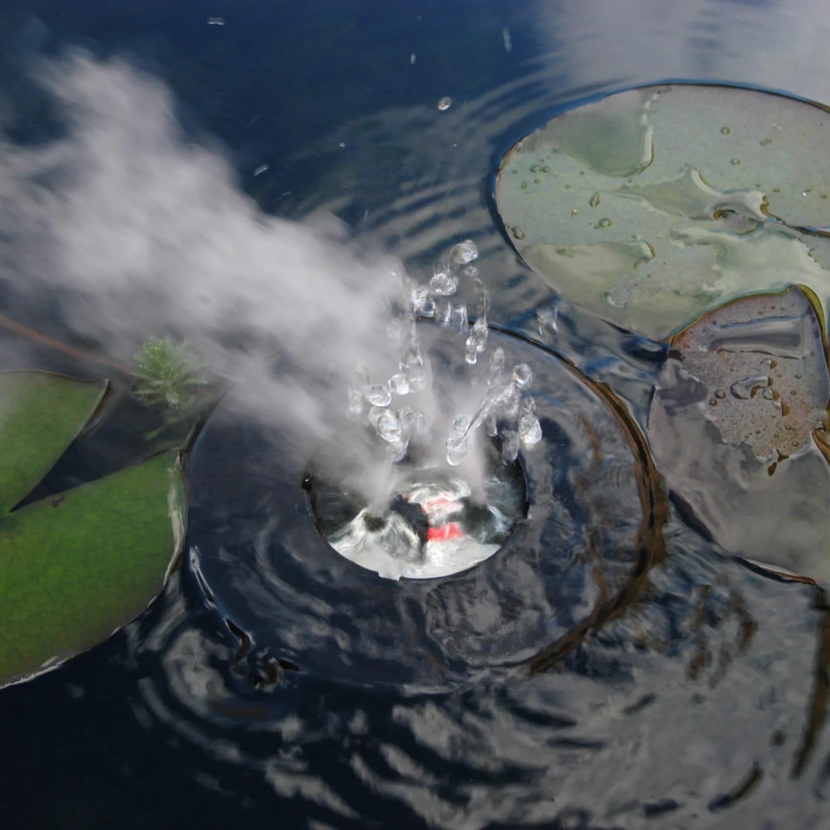 Ubbink Teichnebler "Mystmaker III" - Schwimmender Vernebler für Gartenteiche