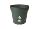 Elho Anzuchttopf Green Basics 19 cm Grün Bild 2
