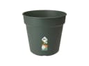 Elho Anzuchttopf Green Basics 19 cm Grün Bild 5