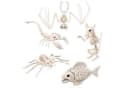 Boland Dekoobjekt Skelett Tiere 5-fach sortiert Beige Halloween Bild 2