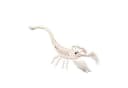 Boland Dekoobjekt Skelett Tiere 5-fach sortiert Beige Halloween Bild 3