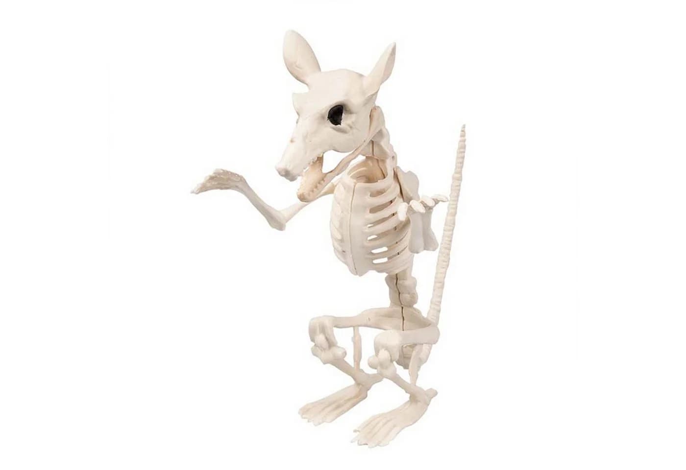 Boland Dekoobjekt Skelett Tiere 5-fach sortiert Beige Halloween - Bild 4