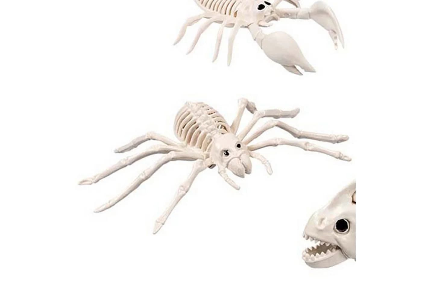 Boland Dekoobjekt Skelett Tiere 5-fach sortiert Beige Halloween - Bild 5