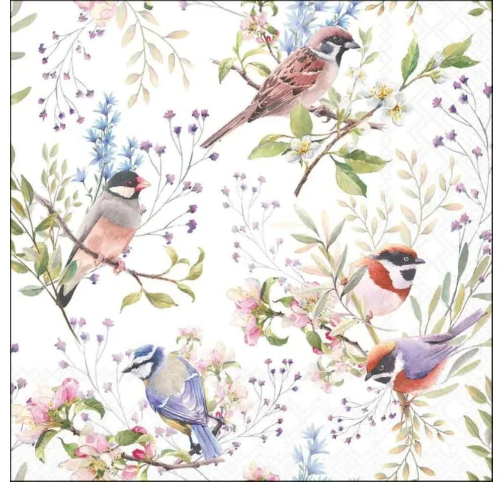 Ambiente Kaffeeservice Servietten 20-tlg. Bunt Vogel-Blumenmotiv 33x33cm