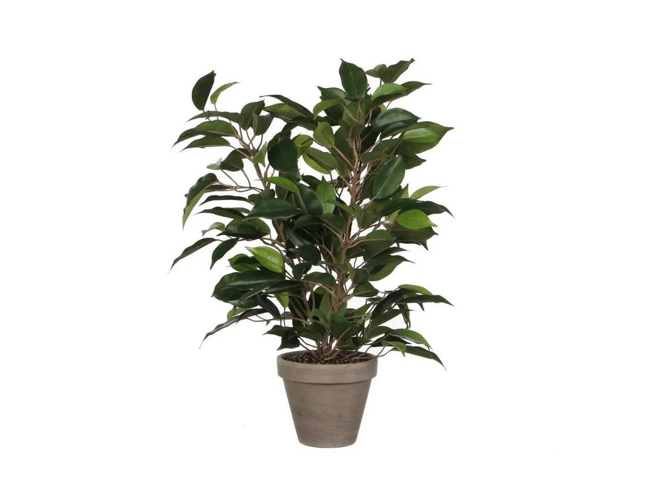 Mica Decorations Kunstpflanze Ficus Natasja Grün im Topf