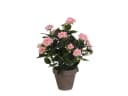Mica Decorations Kunstpflanze Rosenstrauch Rosa im Blumentopf Bild 2