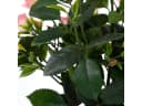 Mica Decorations Kunstpflanze Rosenstrauch Rosa im Blumentopf Bild 5