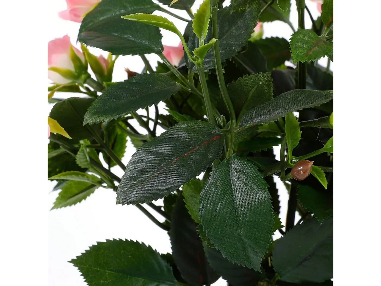 Mica Decorations Kunstpflanze Rosenstrauch Rosa im Blumentopf - Bild 5