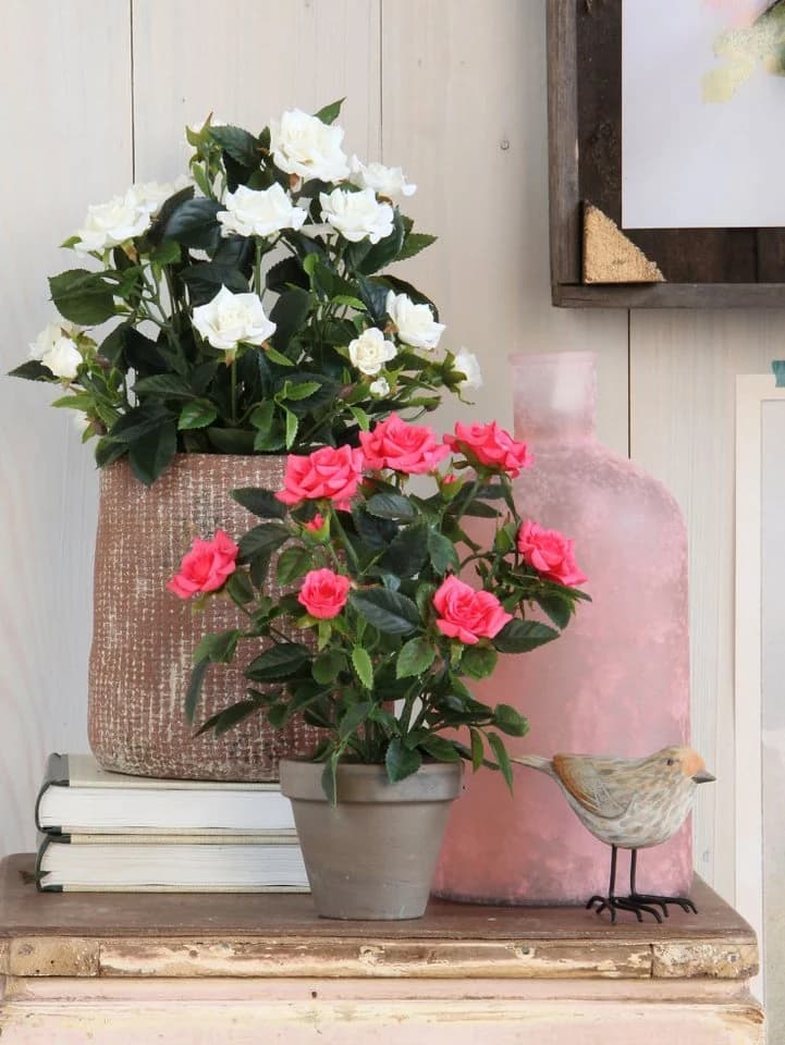 Mica Decorations Kunstpflanze Rosenstrauch Weiß im Blumentopf - Bild 3