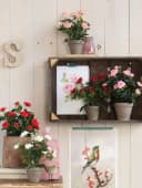 Mica Decorations Kunstpflanze Rosenstrauch Weiß im Blumentopf Bild 5