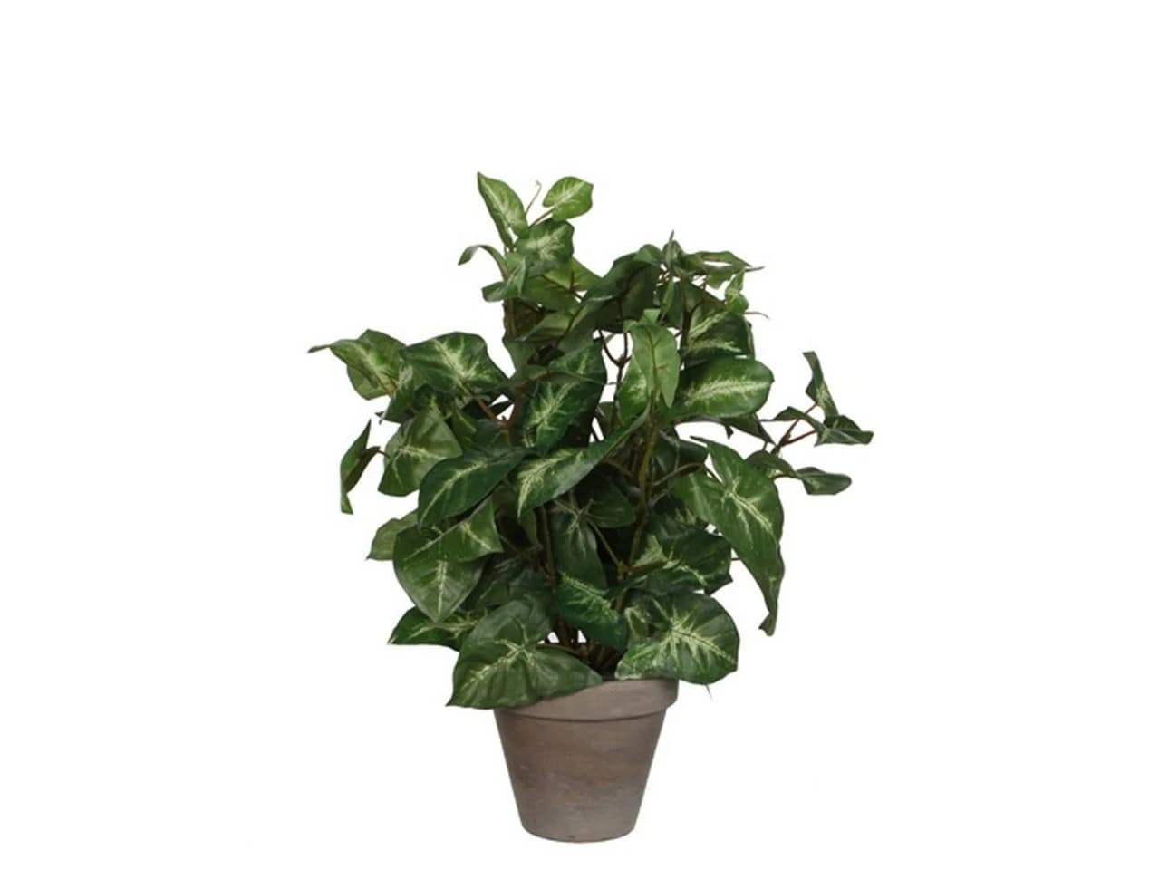 Mica Decorations Kunstpflanze Syngonium Grün im Topf