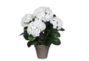 Mica Decorations Hortensie Kunstpflanze Weiß in grauem Topf Bild 2