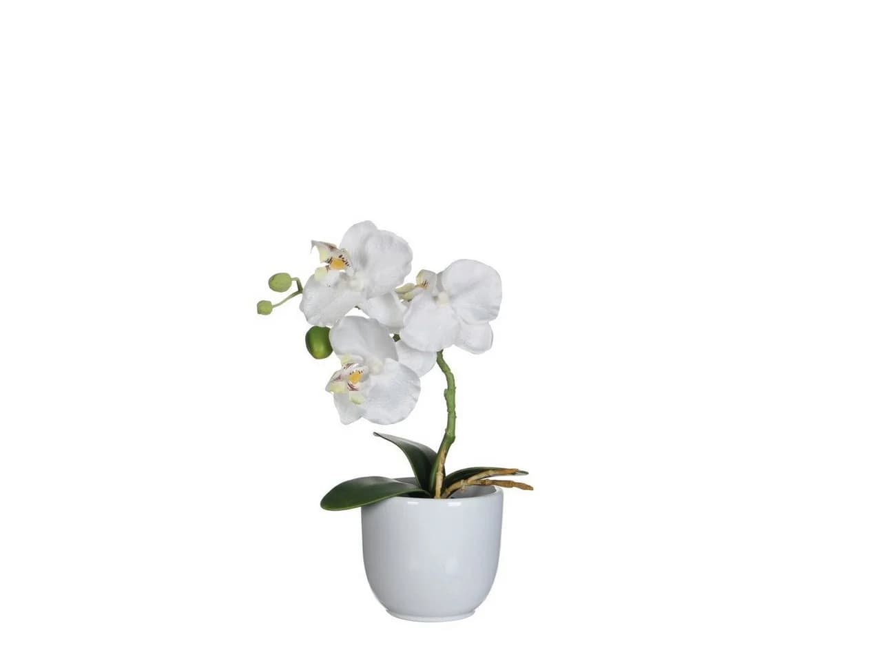 Mica Decorations Kunstpflanze Phalaenopsis im Topf weiß