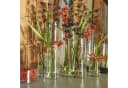 Hakbijl Glass Dekovase Zylinder Transparent Geschliffener Rand Bild 1