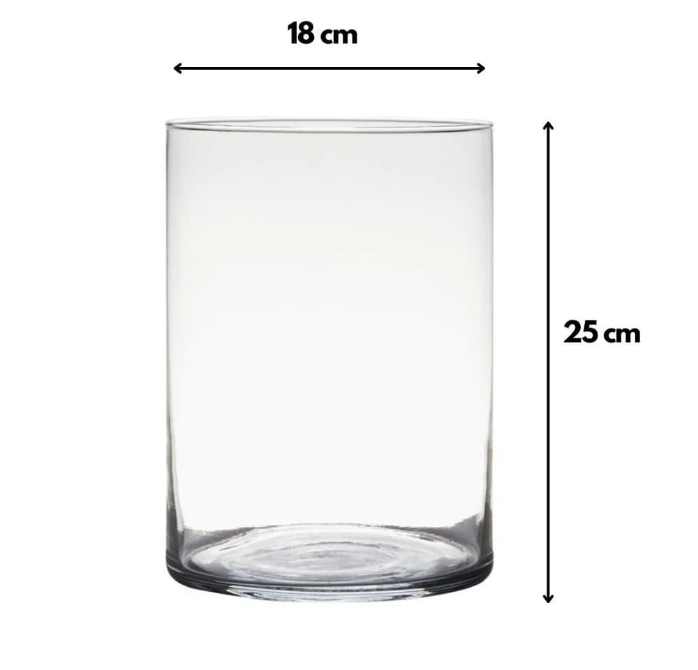 Hakbijl Glass Dekovase ZYLINDER Transparent