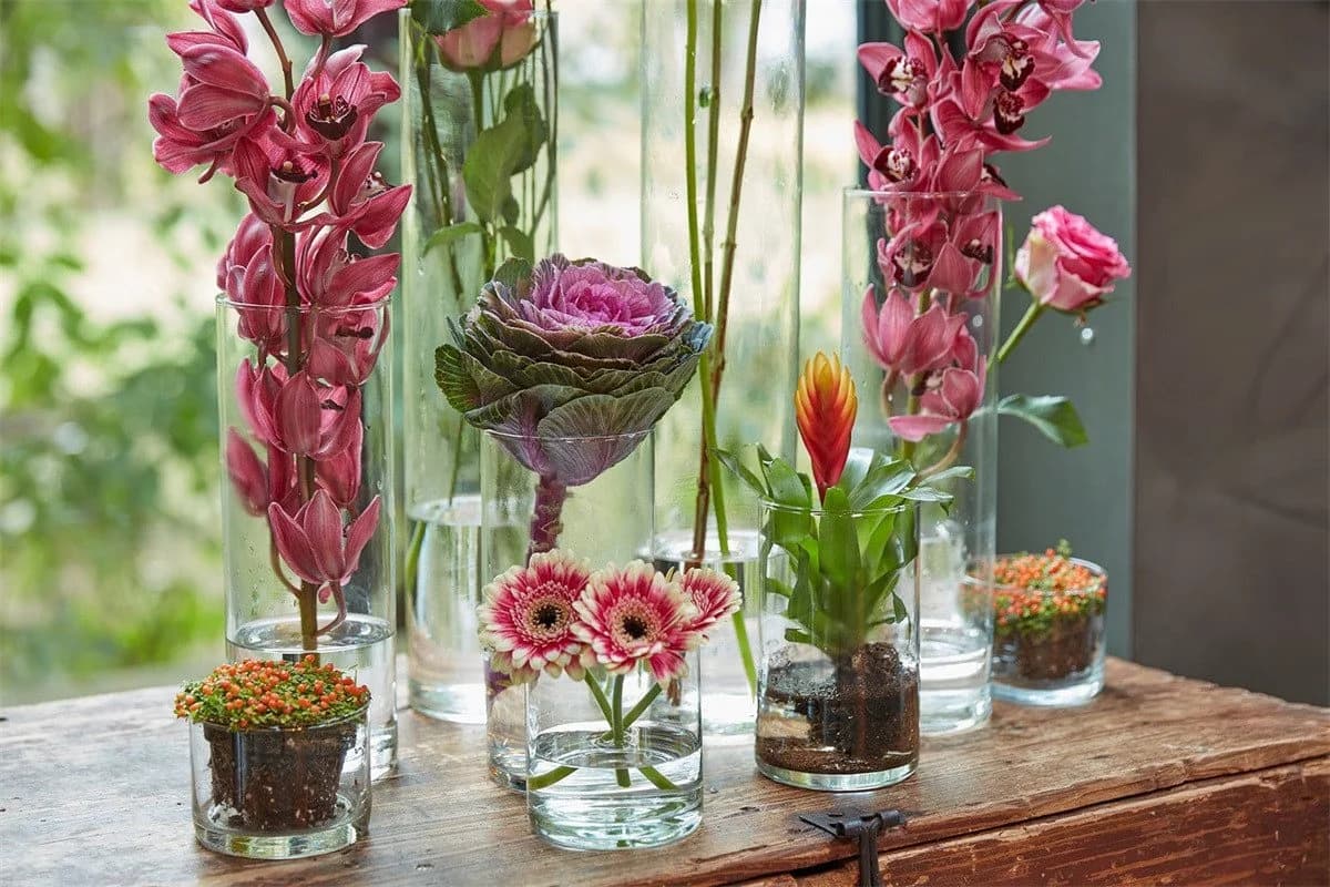 Hakbijl Glass Dekovase Zylinder Transparent