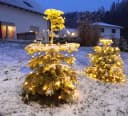 Coen Bakker Deco BV LED-Lichternetz Warmweiß Trapez für Weihnachtsbaum Bild 4