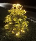 Coen Bakker Deco BV LED-Lichternetz Warmweiß Trapez für Weihnachtsbaum Bild 5