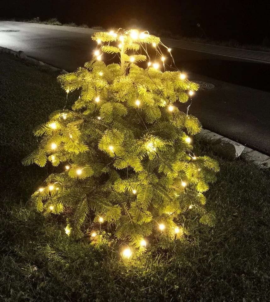 Coen Bakker Deco BV LED-Lichternetz Warmweiß Trapez für Weihnachtsbaum - Bild 5