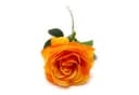 Kunstblume Rose Gelb-Orange Emerald Bild 1